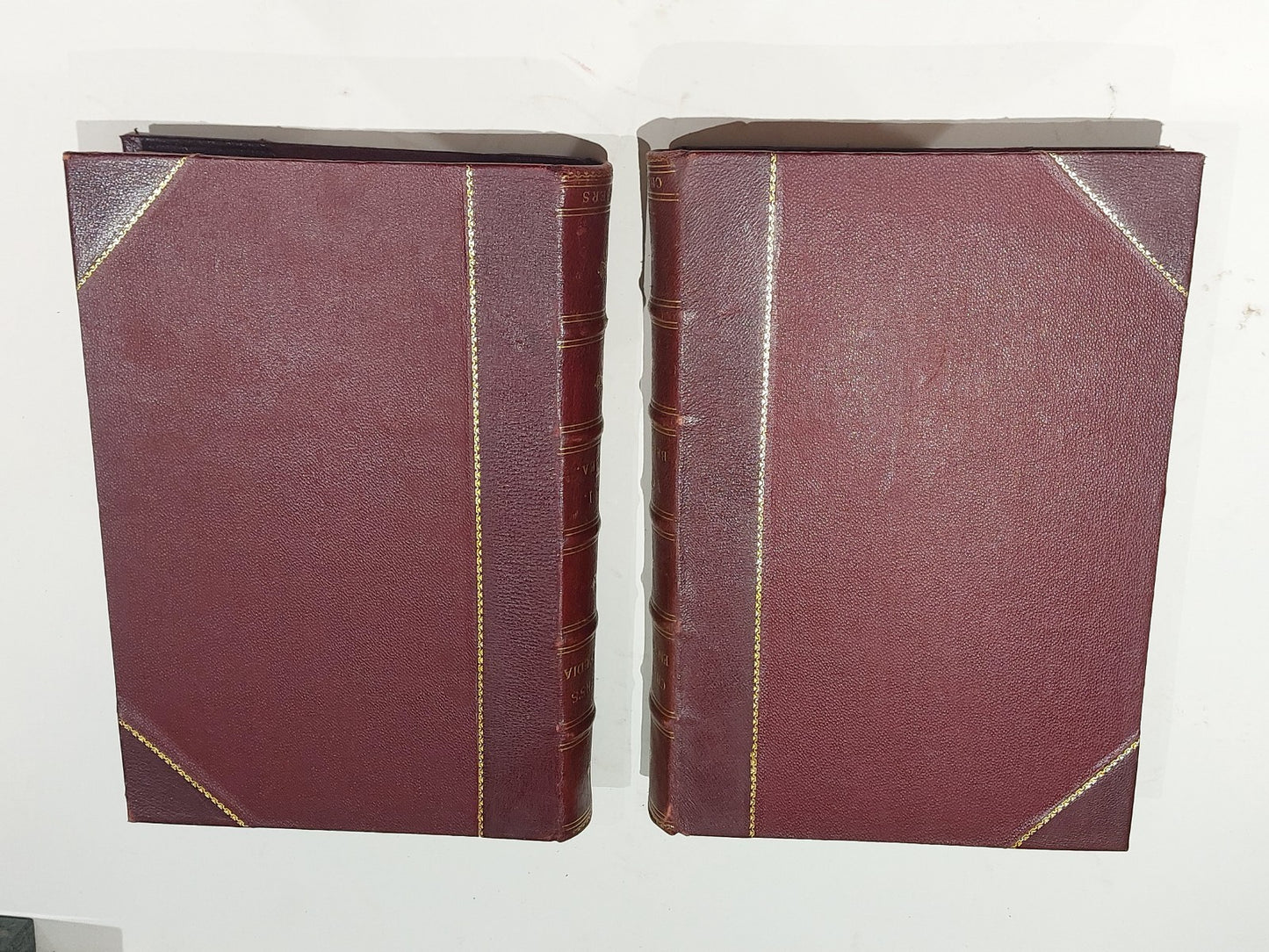 Chamber's Encyclopaedia 10 Vol Set (1901) Heavy Quarter Leather Bound Books8