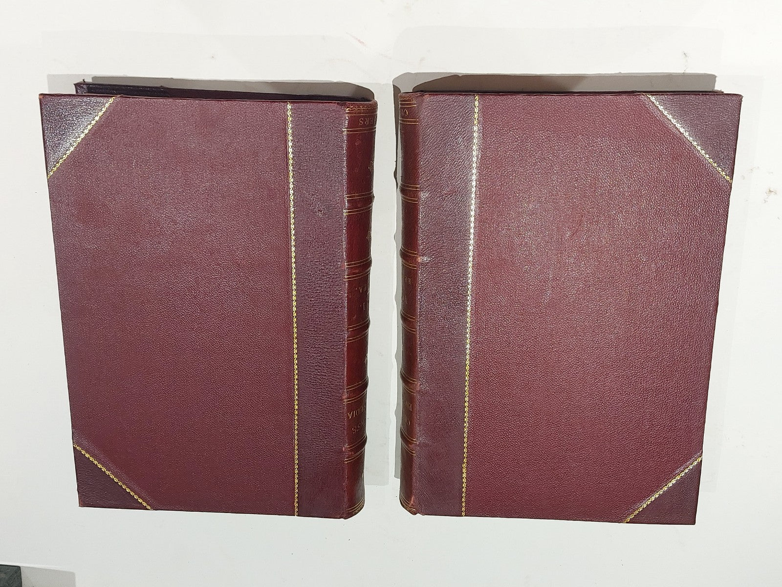 Chamber's Encyclopaedia 10 Vol Set (1901) Heavy Quarter Leather Bound Books8