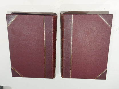 Chamber's Encyclopaedia 10 Vol Set (1901) Heavy Quarter Leather Bound Books8