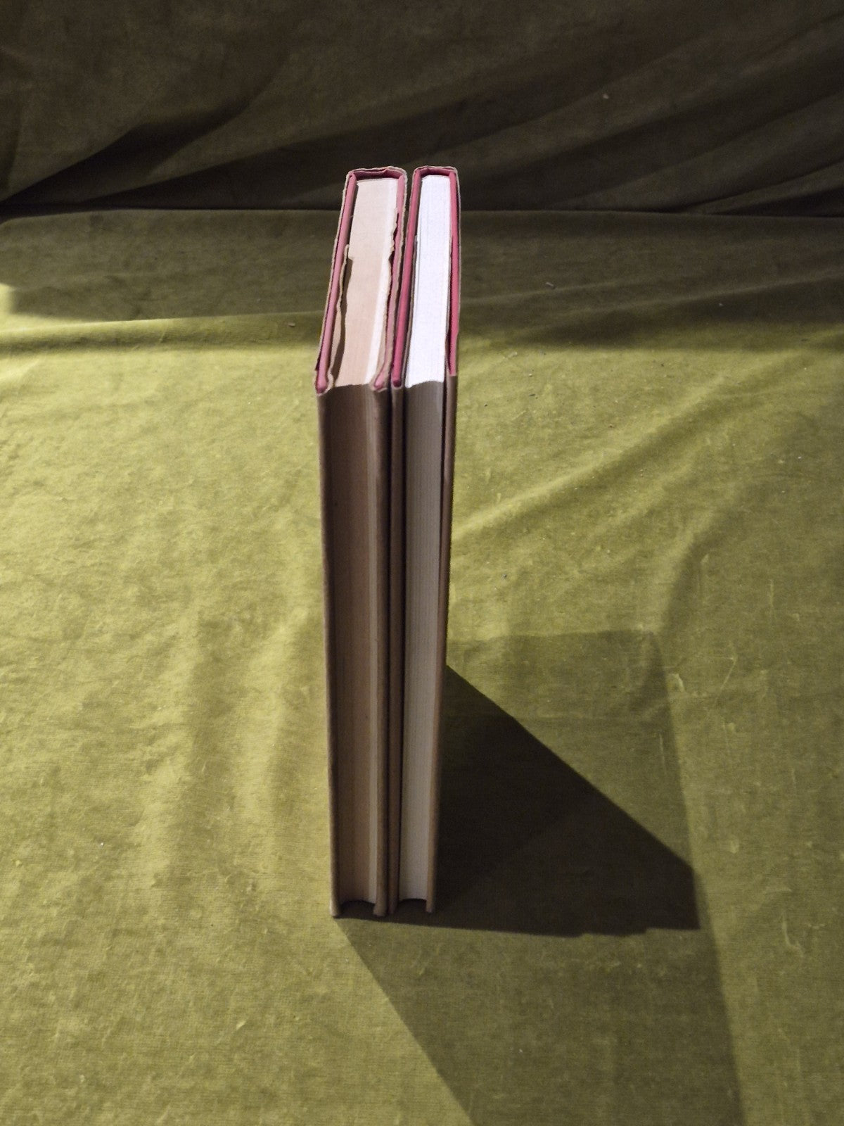 Lichen Illustrations & A Guide to the Study of Lichens7