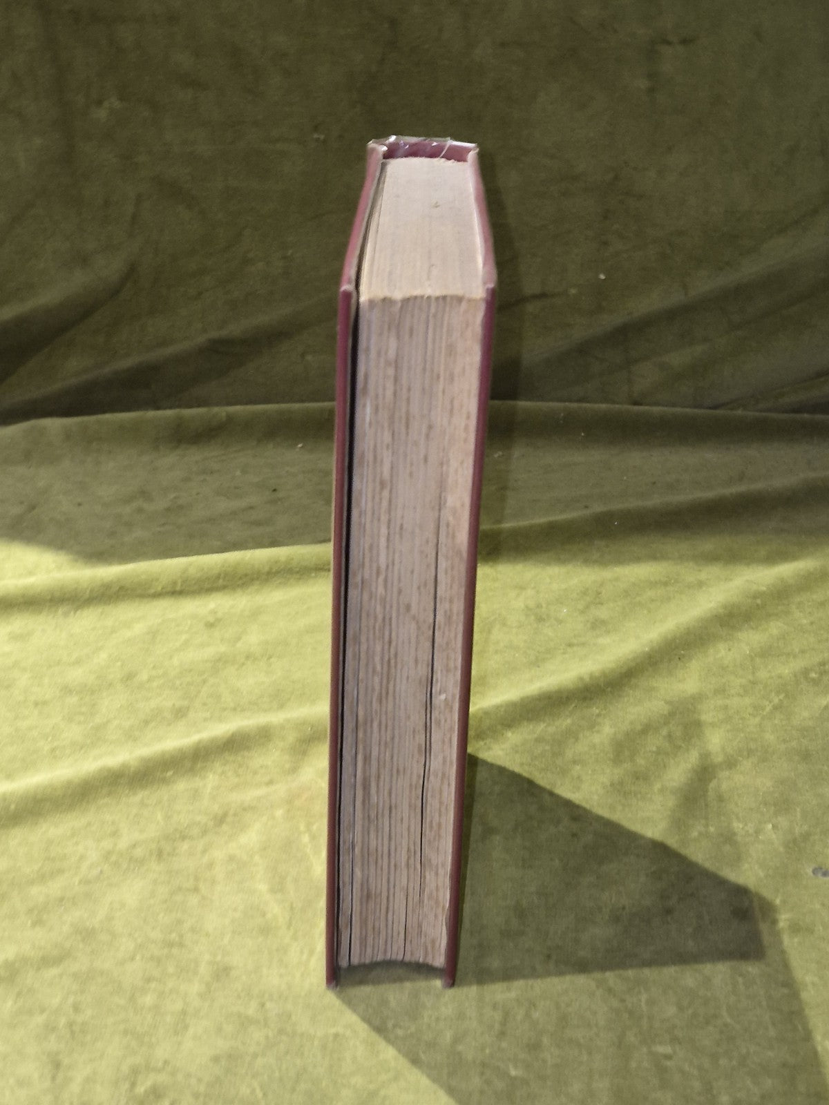 Macleods of Dunvegan from the Time of Leod to the End of the Seventeenth Century7