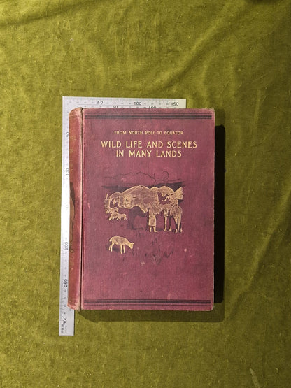 From North Pole To Equator Wild Life And Scenes In Many Lands - Brehm 1st 18971