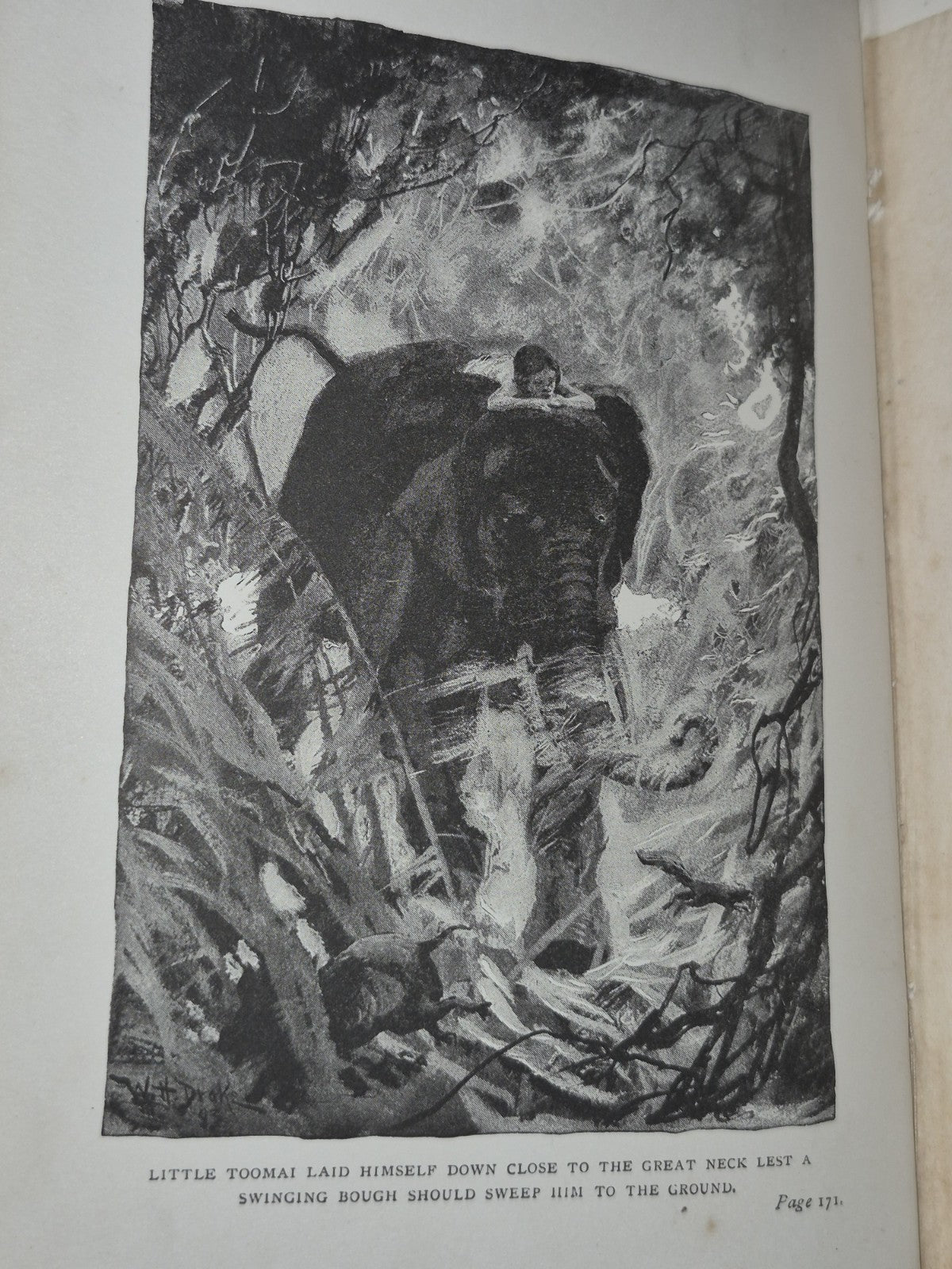 Jungle Book First Edition Kipling 1989 Seventh Impression 6