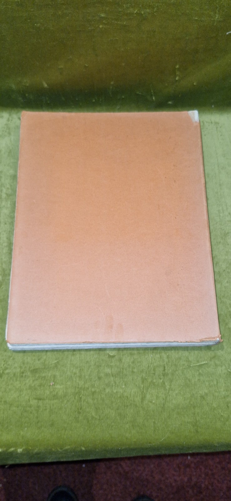 Thebes : The Glory of A Great Past (1926) J Capart & M Werbrouck pb book2