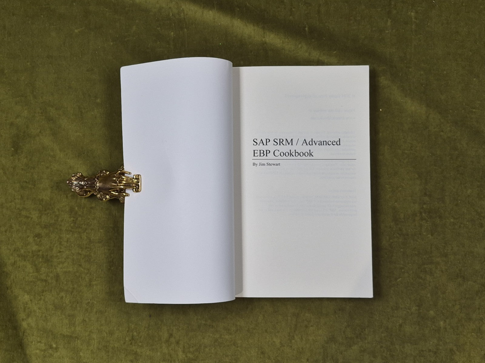 SAP SRM Advanced EBP Cookbook - Jim Stewart , Equity 20043