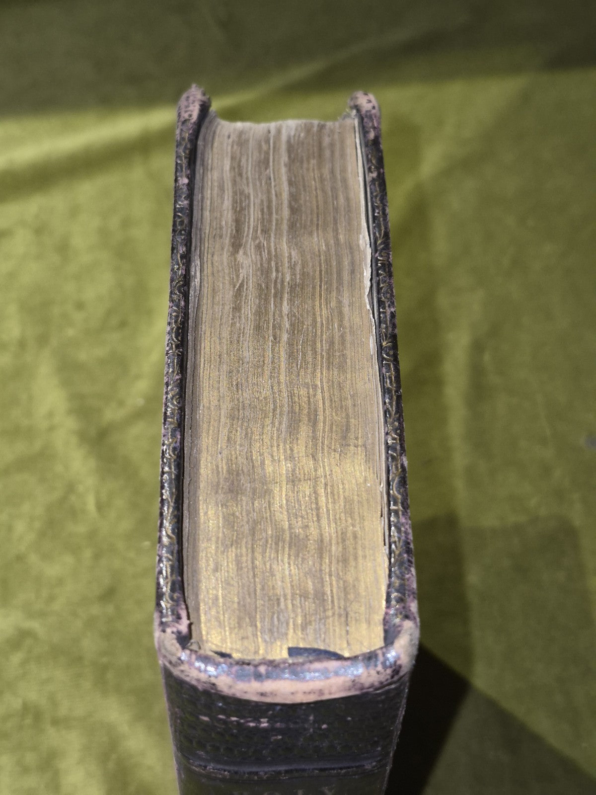 Holy Bible Eyre and Spottiswoode 1861 London2