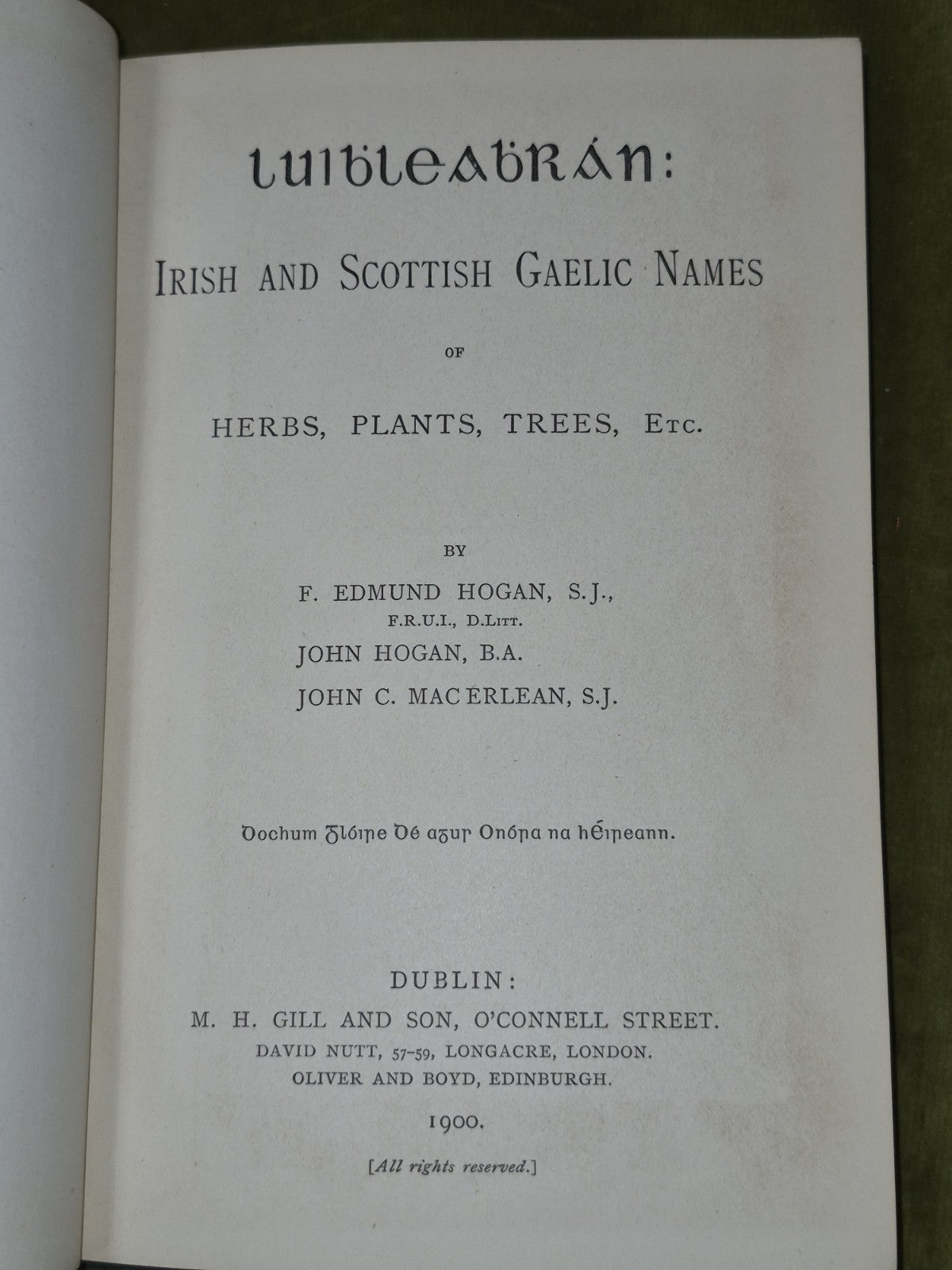 Luibleabran Irish and Scottish Gaelic Names Herbs Plants Trees Edmund Hogan 19004