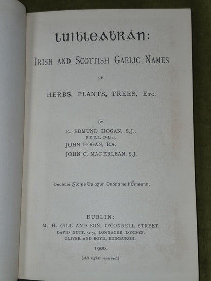 Luibleabran Irish and Scottish Gaelic Names Herbs Plants Trees Edmund Hogan 19004