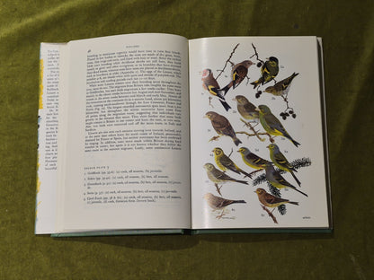 Finches - Ian Newton , Collins 1972 1st Ed HB DJ6