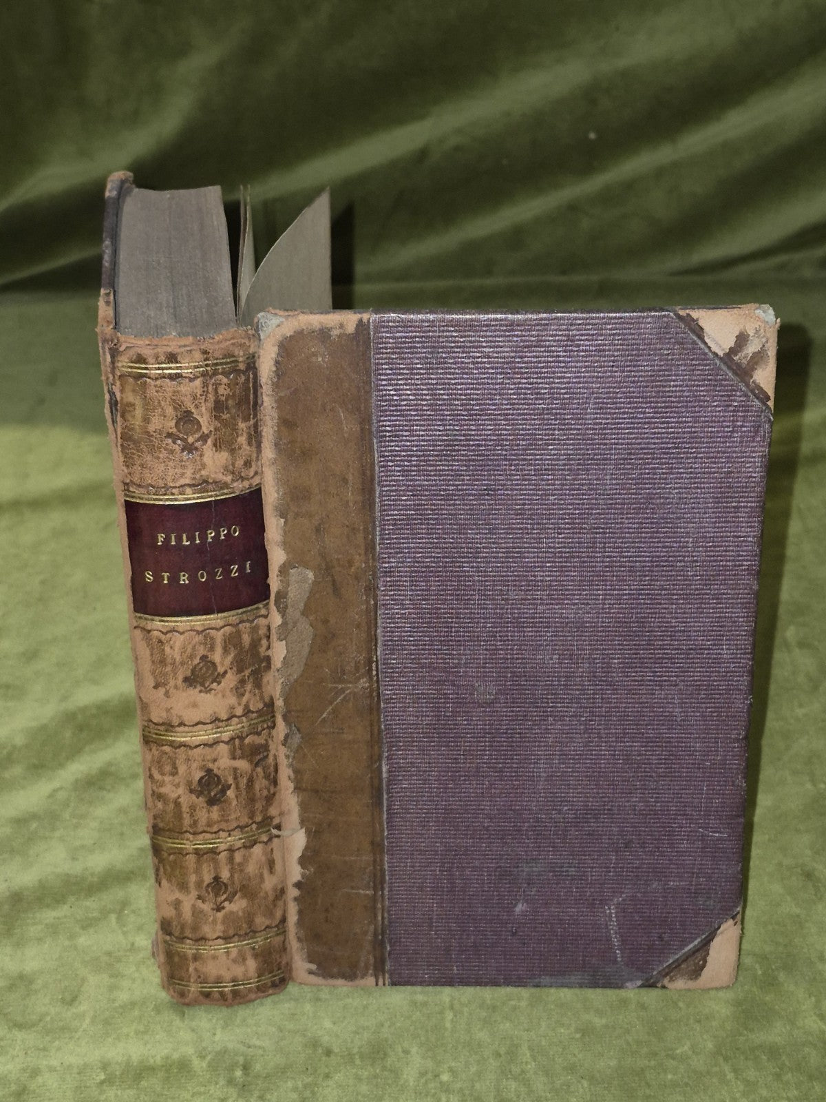 Filippo Strozzi: A History of the Last Days Of The Old Italian Liberty0