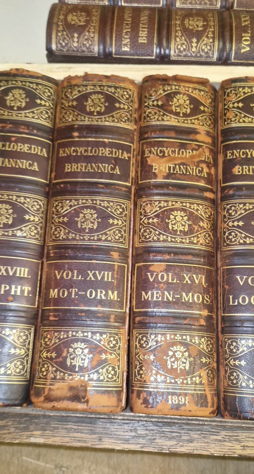 Encyclopedia Britannica Ninth Edition & Tenth Edition Plus Maps & Indexes6
