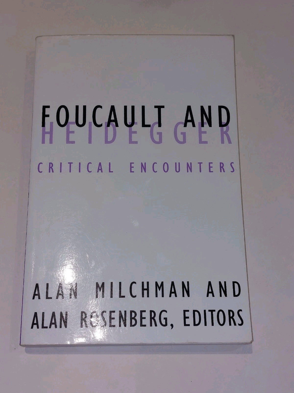 Foucault And Heidegger - Milchman & Rosenberg (2003) Pb Book0