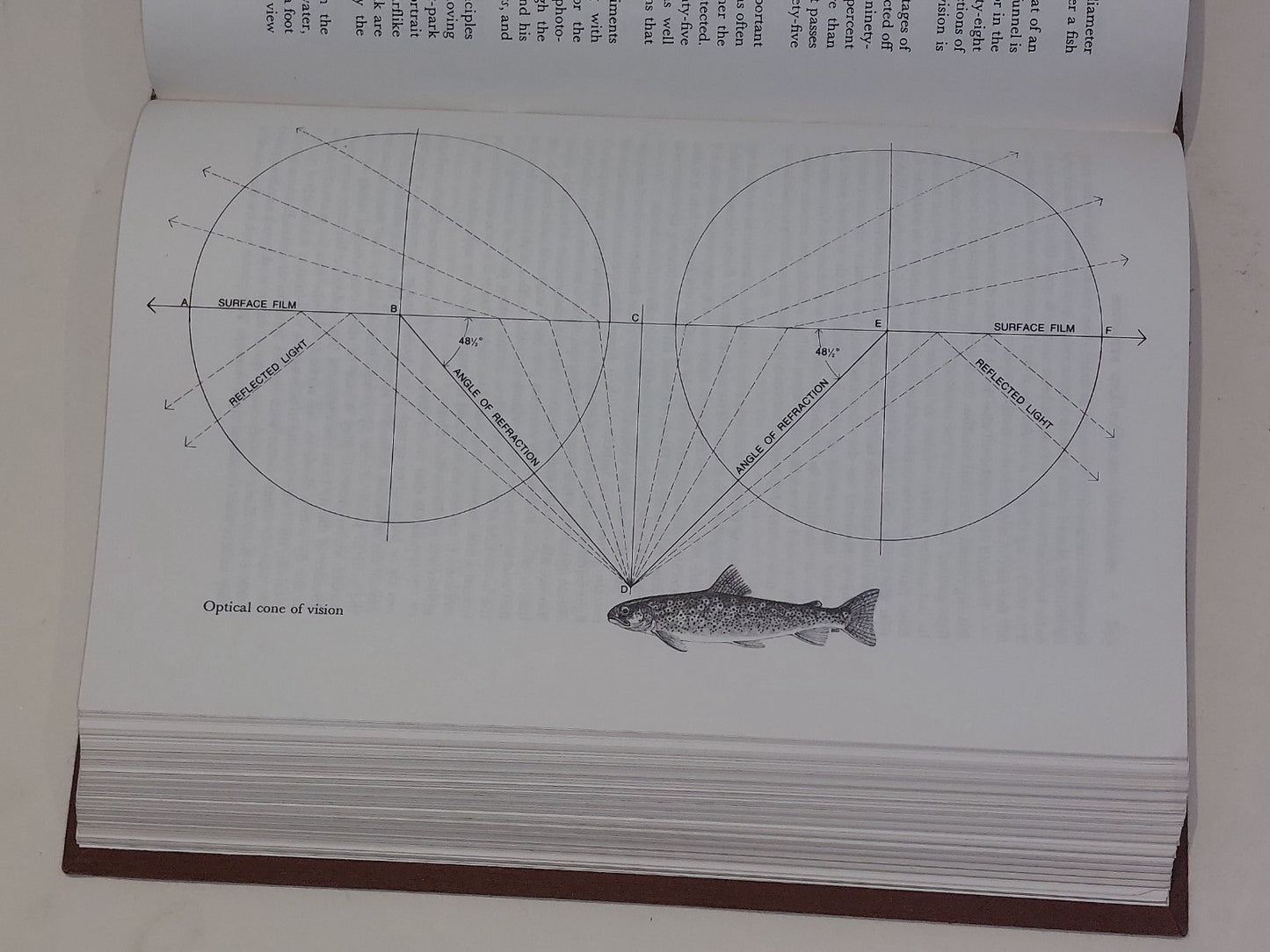 Trout by Ernest Schwiebert [2 Volumes] (1978) 1st Edition Hb Books in Slipcase9