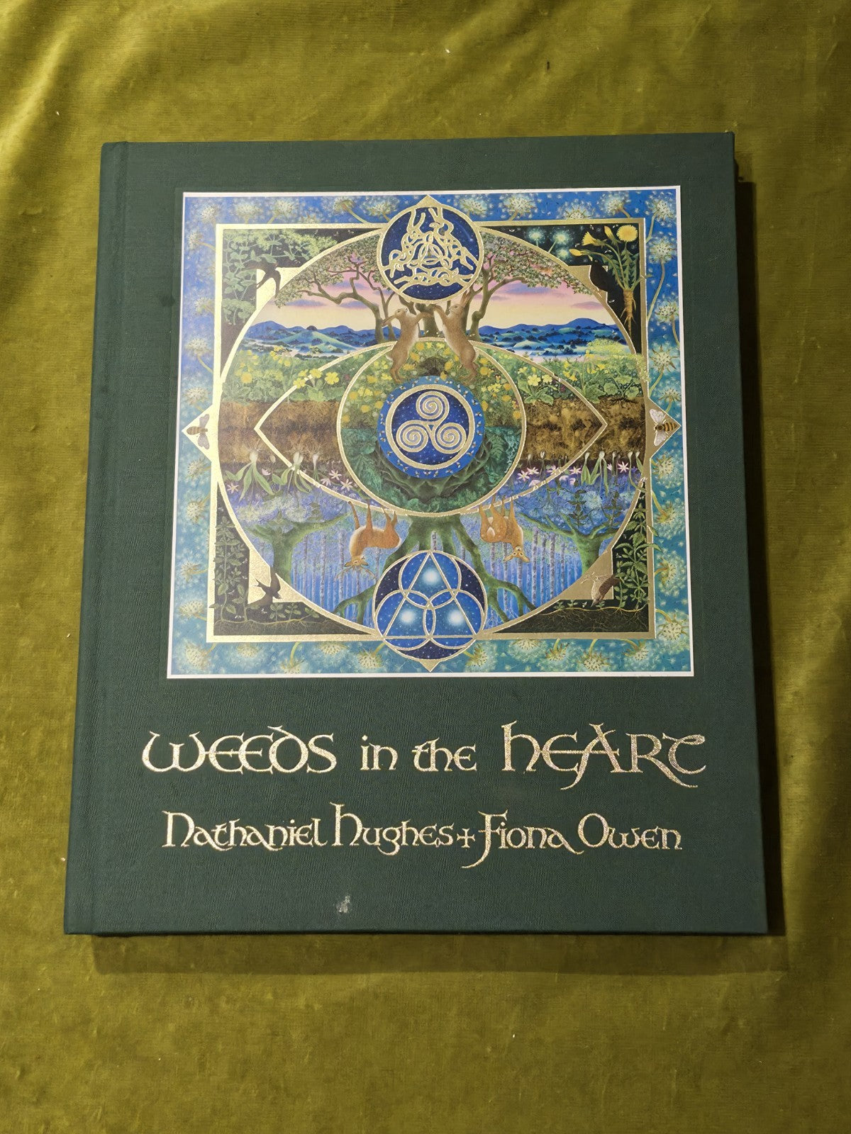 Weeds in the Heart - Nathaniel Hughes Fiona Owen Limited 1st Edition Signed 20160