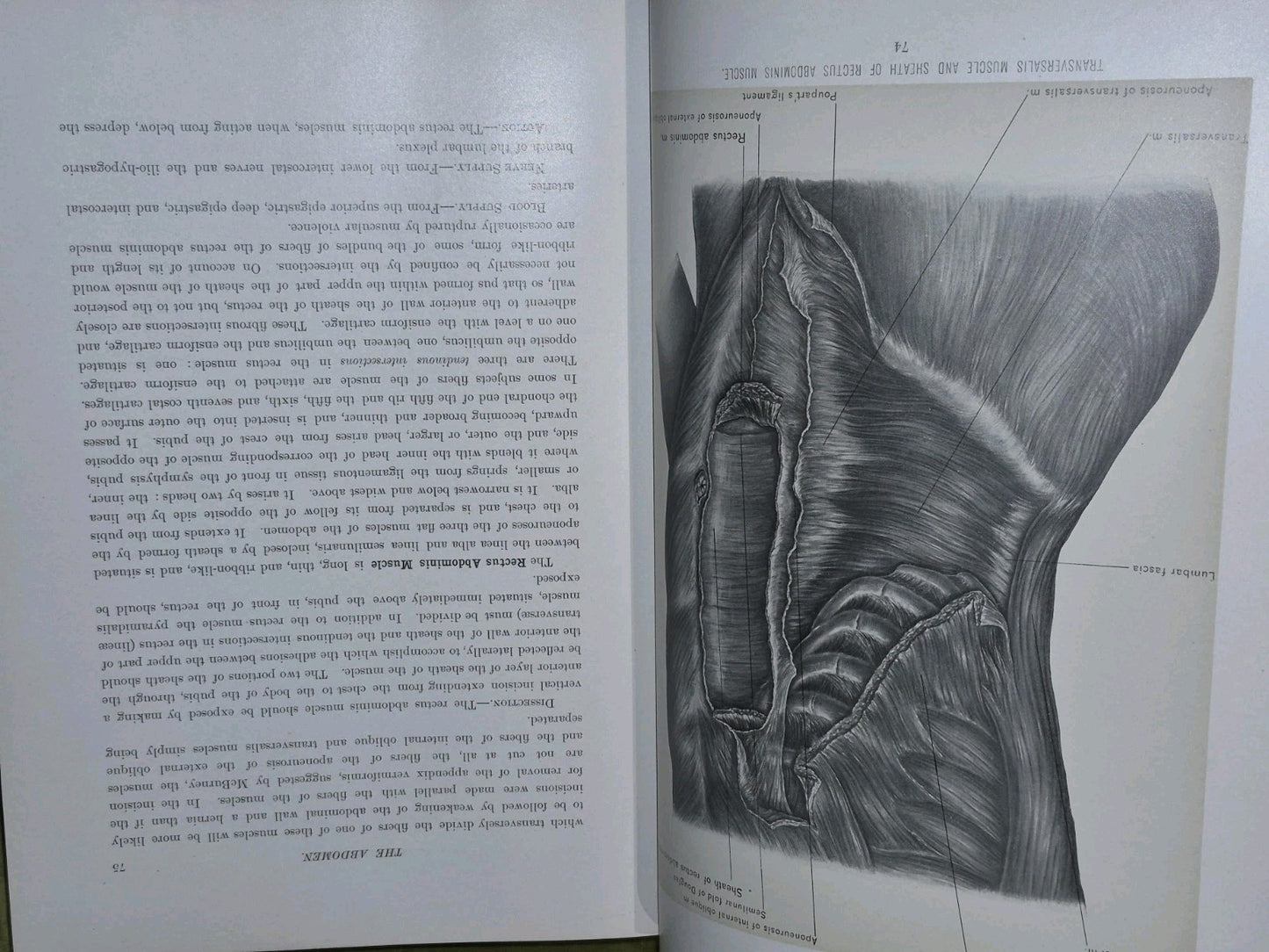 Surgical Anatomy Vols. 1 to 3, (1901-1903) John B. Deaver. London: Rebman8