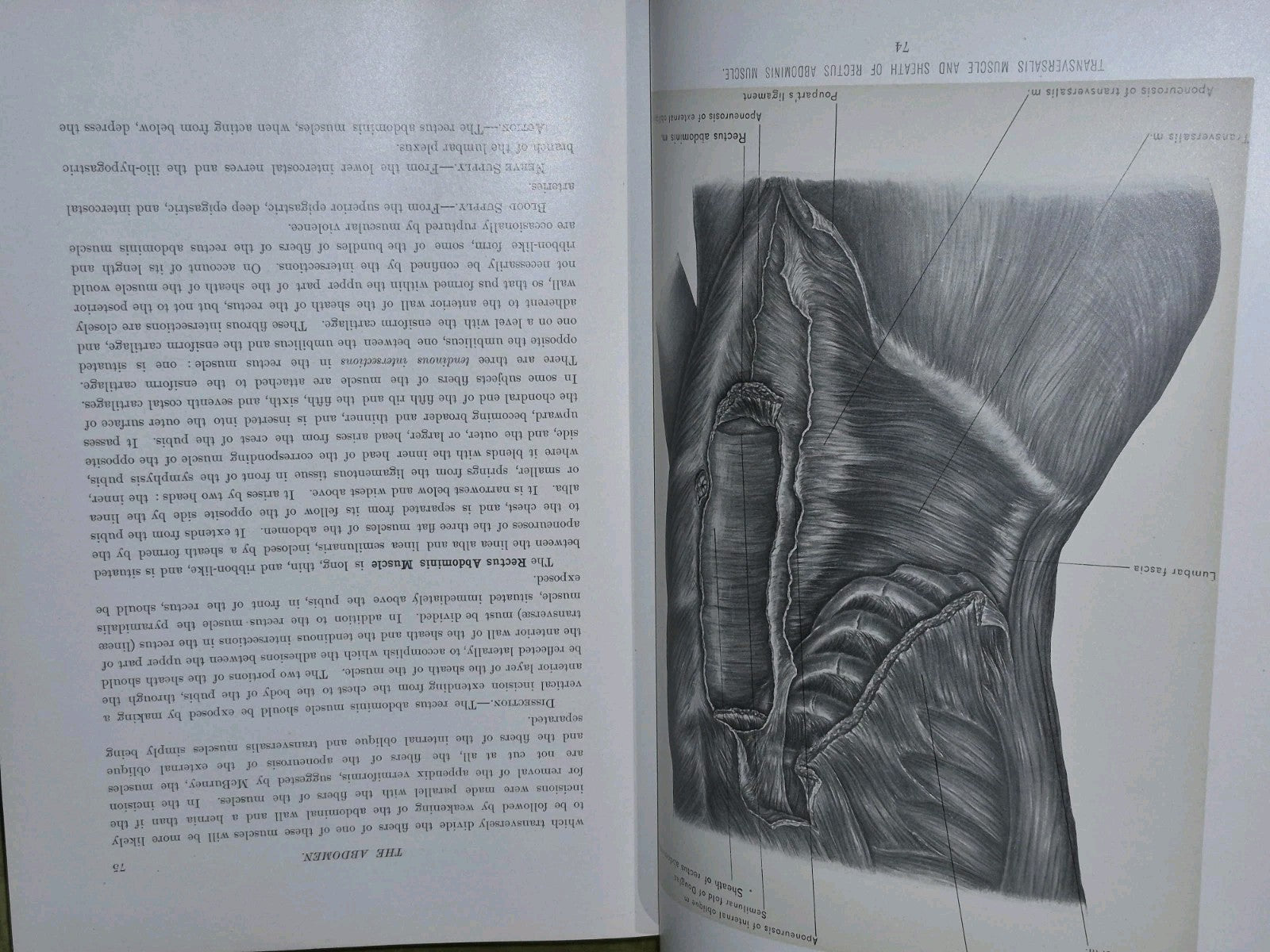 Surgical Anatomy Vols. 1 to 3, (1901-1903) John B. Deaver. London: Rebman8