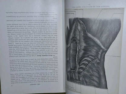 Surgical Anatomy Vols. 1 to 3, (1901-1903) John B. Deaver. London: Rebman8