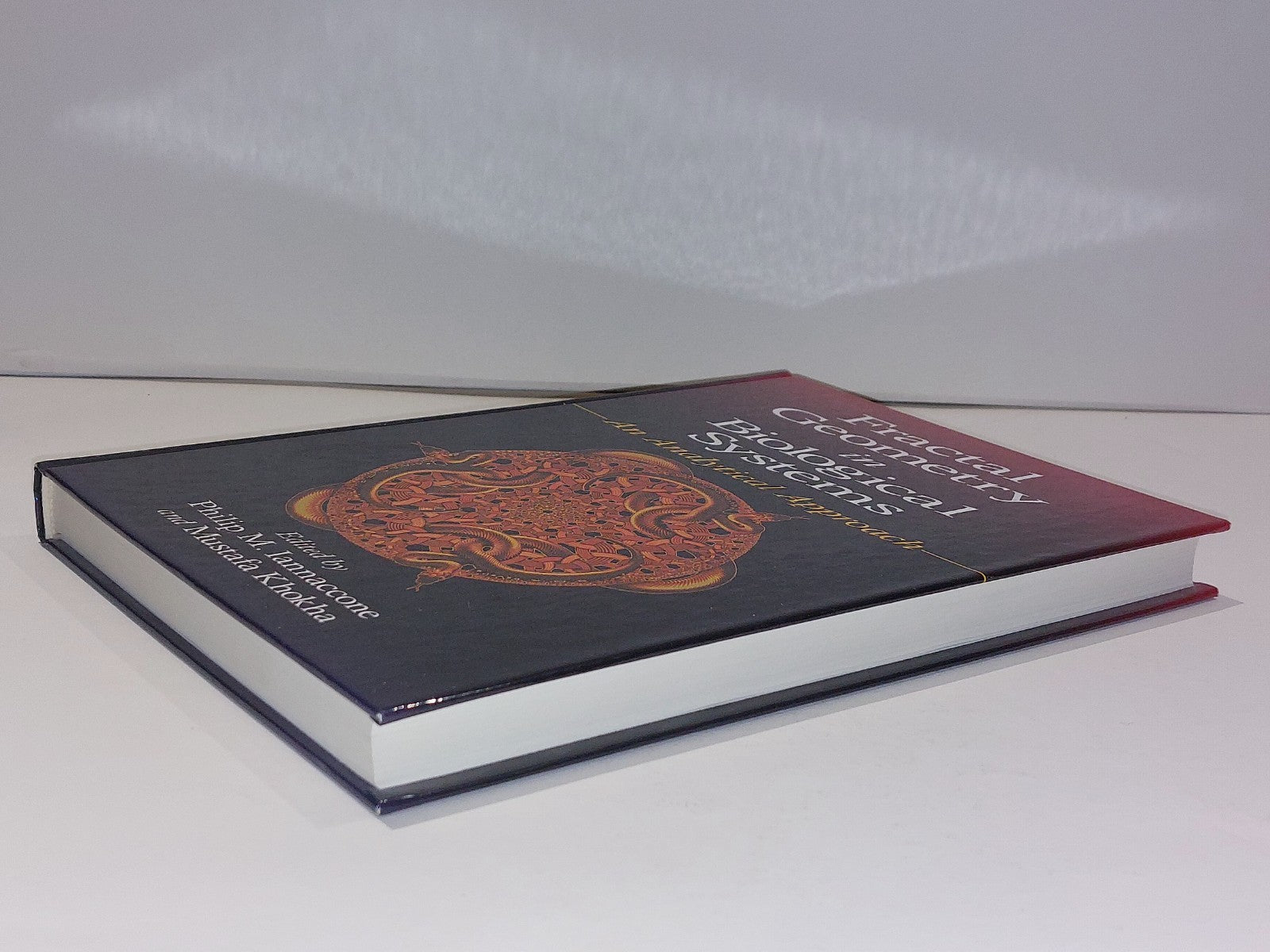 Fractal Geometry in Biological Systems: An Analytical Approach by Iannaccone6