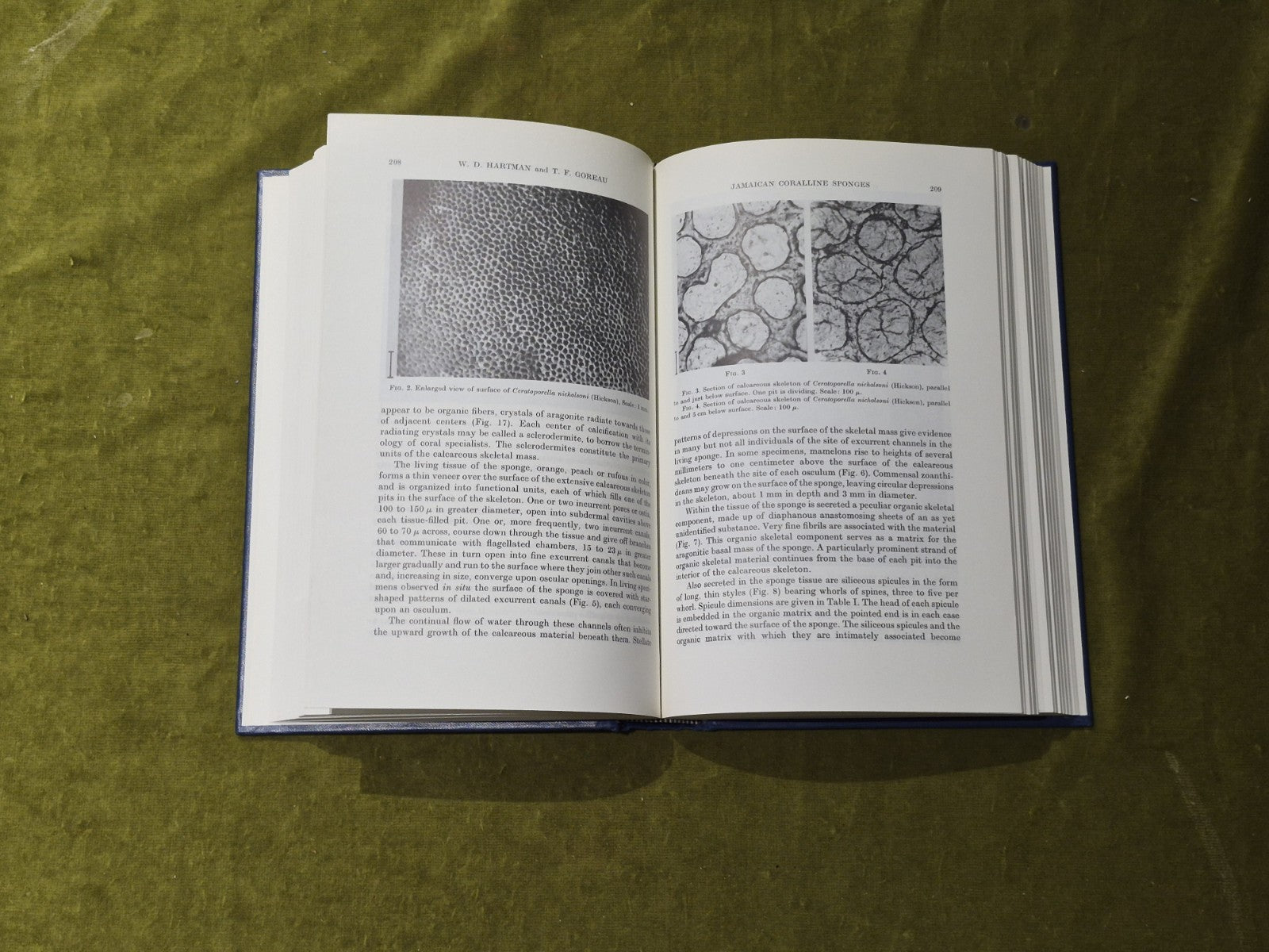 The Biology of the Porifera - W G Fry - Academic Press 19815