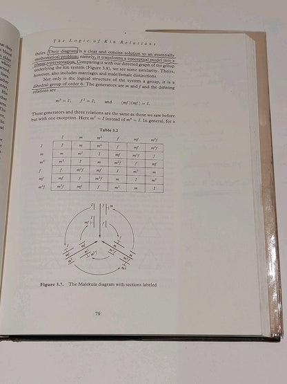 Ethnomathematics : A Multicultural View of Mathematical Ideas - Ascher 1991 Hb8