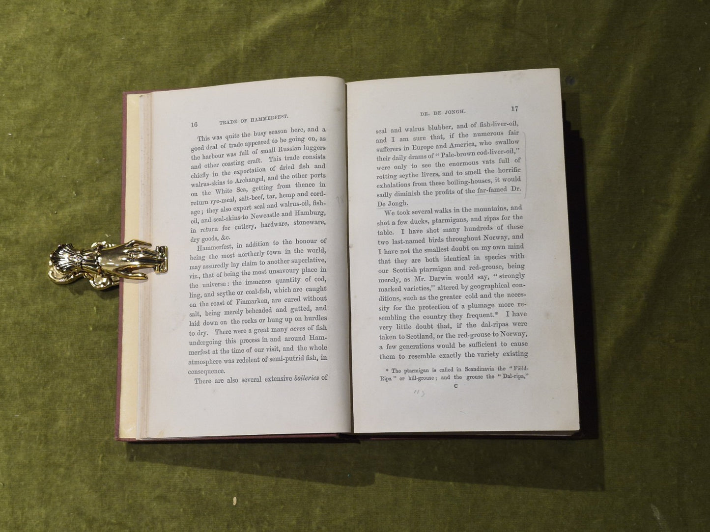Seasons with the Sea-Horses - James Lamont , Hurst & Blackett 18615