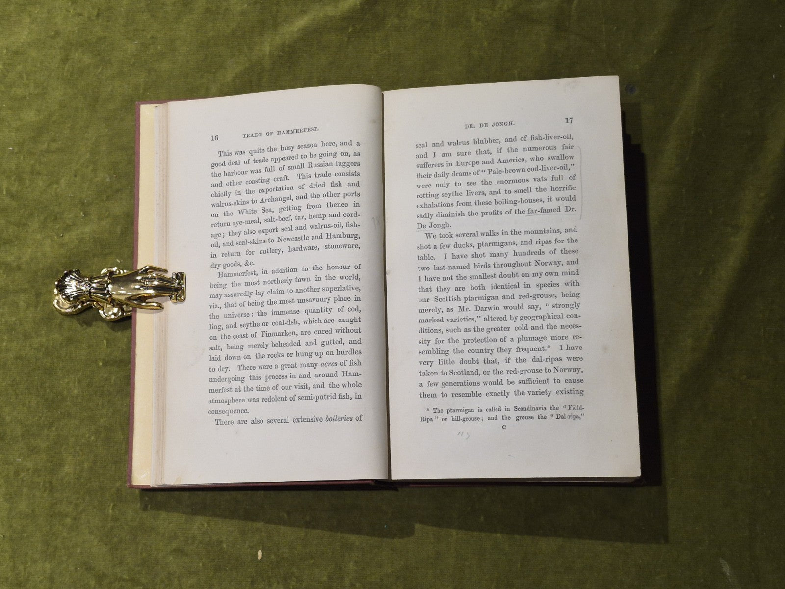 Seasons with the Sea-Horses - James Lamont , Hurst & Blackett 18615