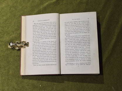 Seasons with the Sea-Horses - James Lamont , Hurst & Blackett 18615