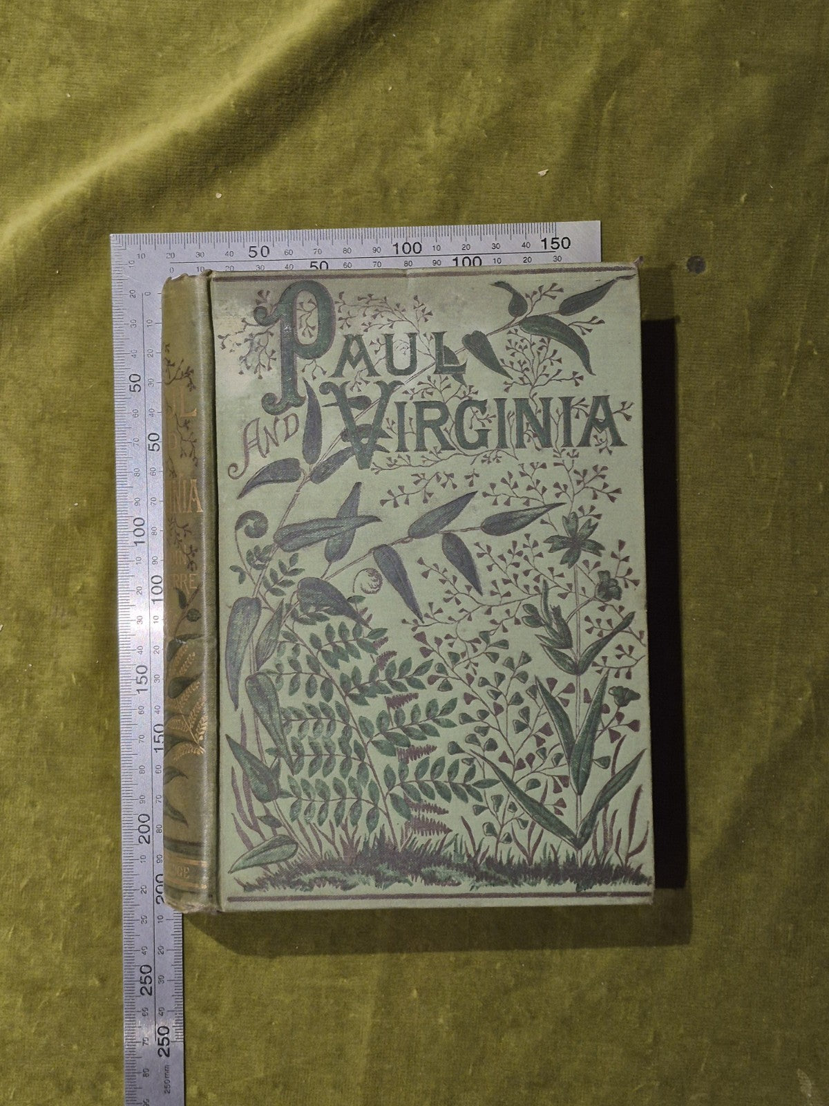 Paul and Virginia - Bernardine Saint Pierre3
