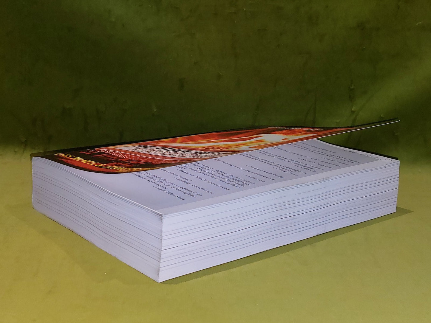 The Other Hollywood By L McNeil & J Osborne (2006) [Regan Books] Pb7