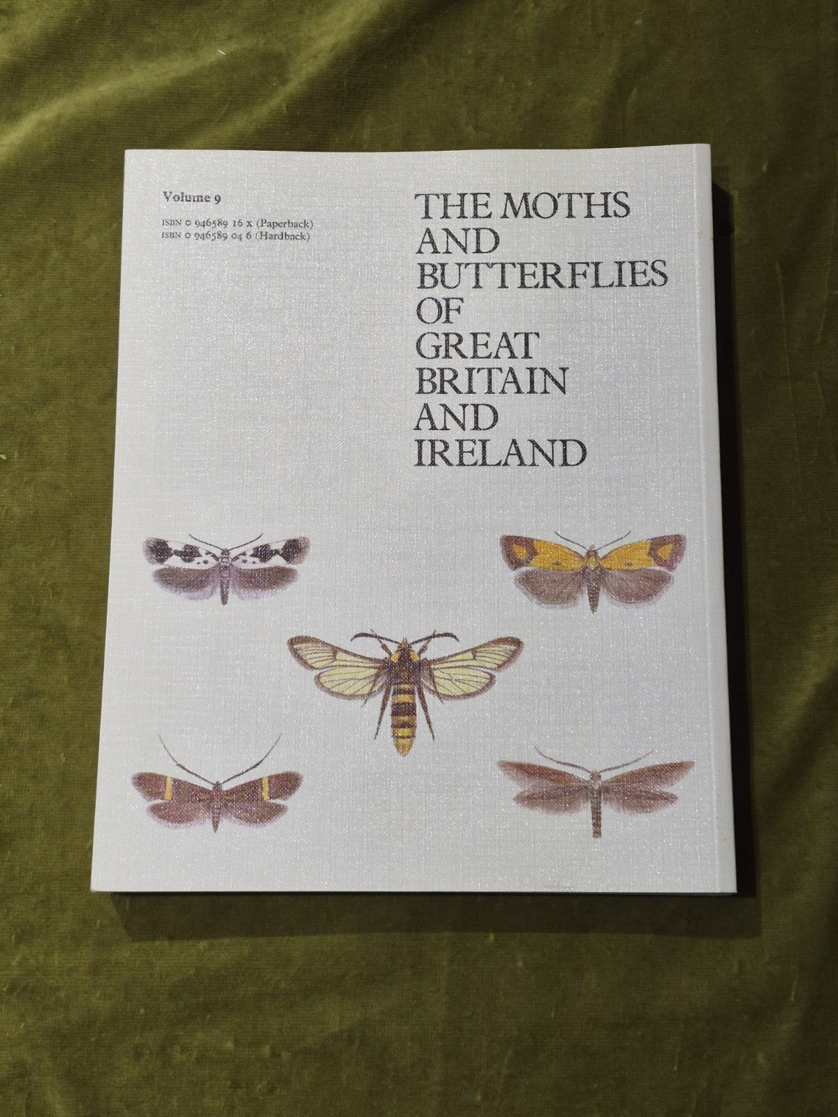 The Moths and Butterflies of Great Britain & Ireland Vol.9 Paperback1