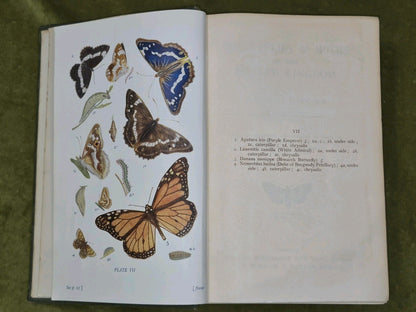 Butterflies & Moths of the United Kingdom Egmont Kirby First Edition Routledge 5
