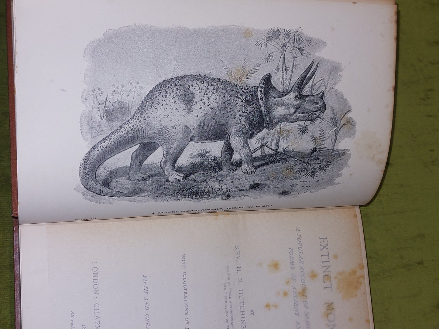 Extinct Monsters  Rev H N Hutchinson (1897) [Chapman & Hall] 5th Ed Hb Book4