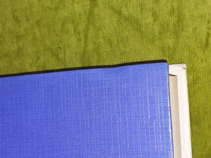 The Boxing Mystery by Gregory Wilson [Modern Publishing] HB/DJ Rare Crime Book6