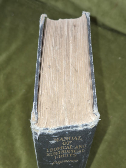 Manual of Tropical and Subtropical Fruits Wilson Popenoe 1920 Macmillan2