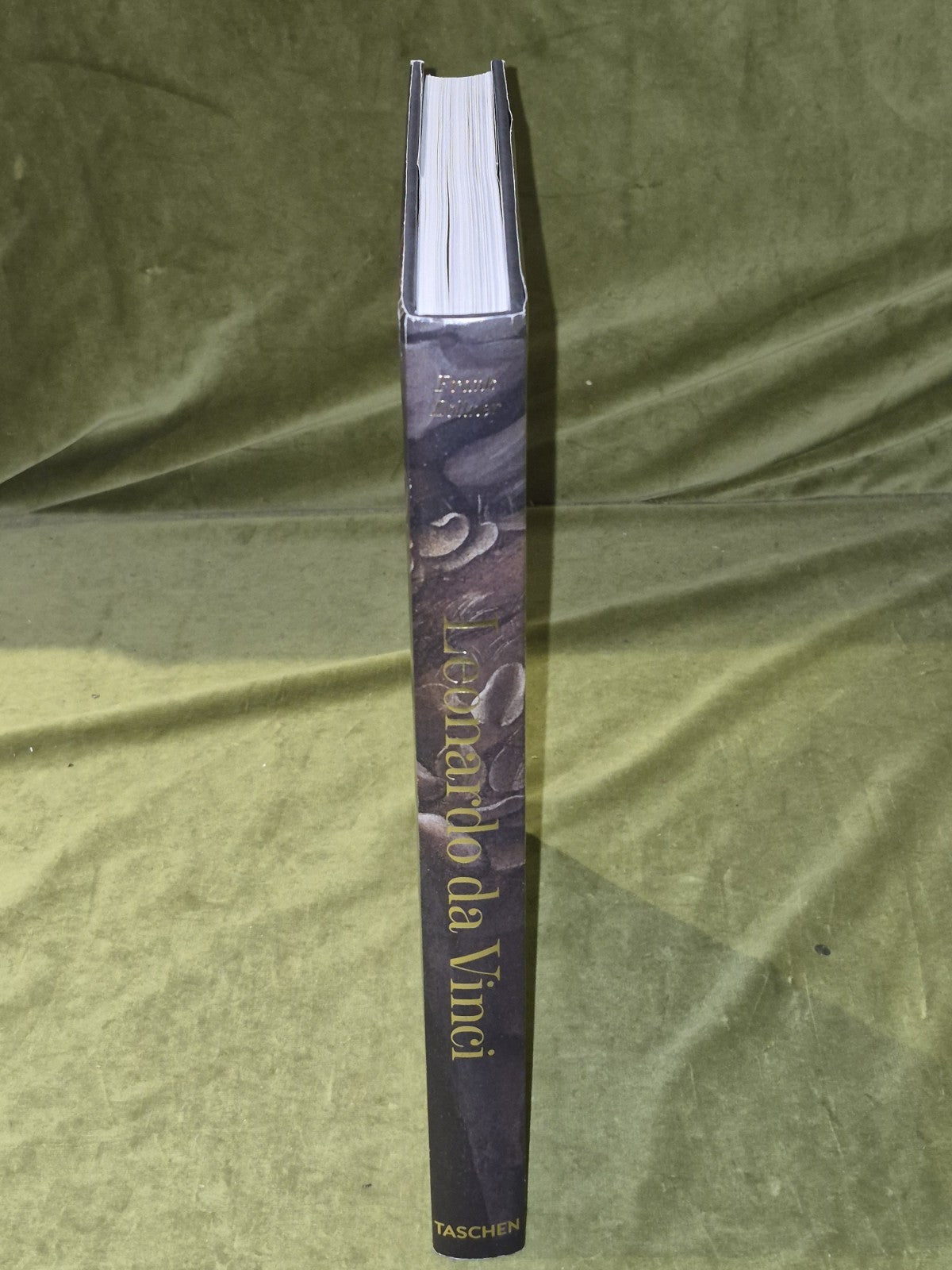 Leonardo da Vinci The Complete Paintings - Frank Zollner Taschen HB DJ2