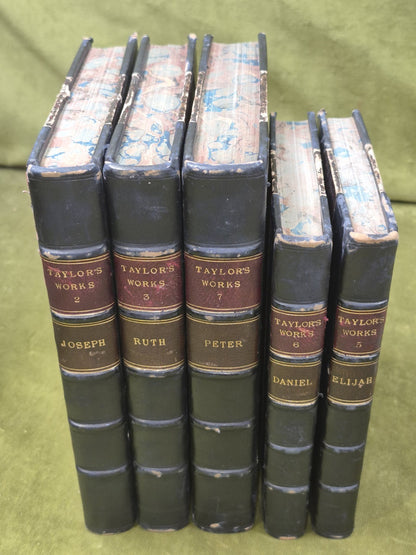 Rev William M Taylor Bible Biographies Set Joseph Ruth Elijah Daniel Peter2