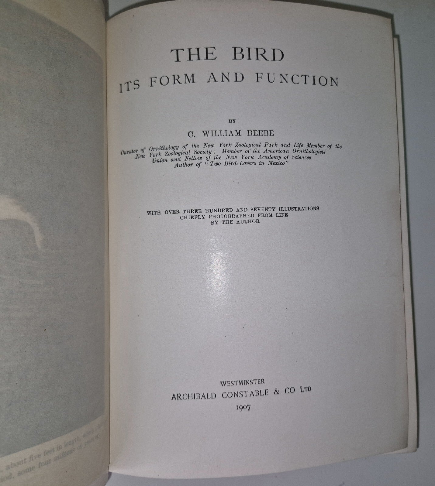 The Bird Its Form And Function By C. William Beebe 19078