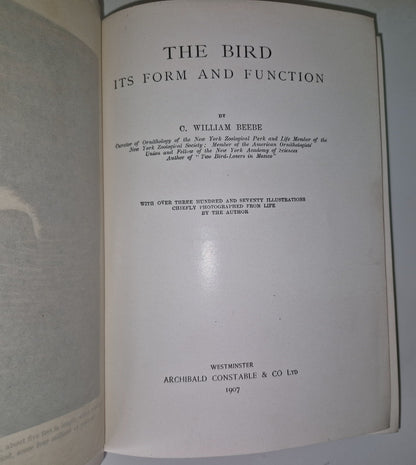 The Bird Its Form And Function By C. William Beebe 19078