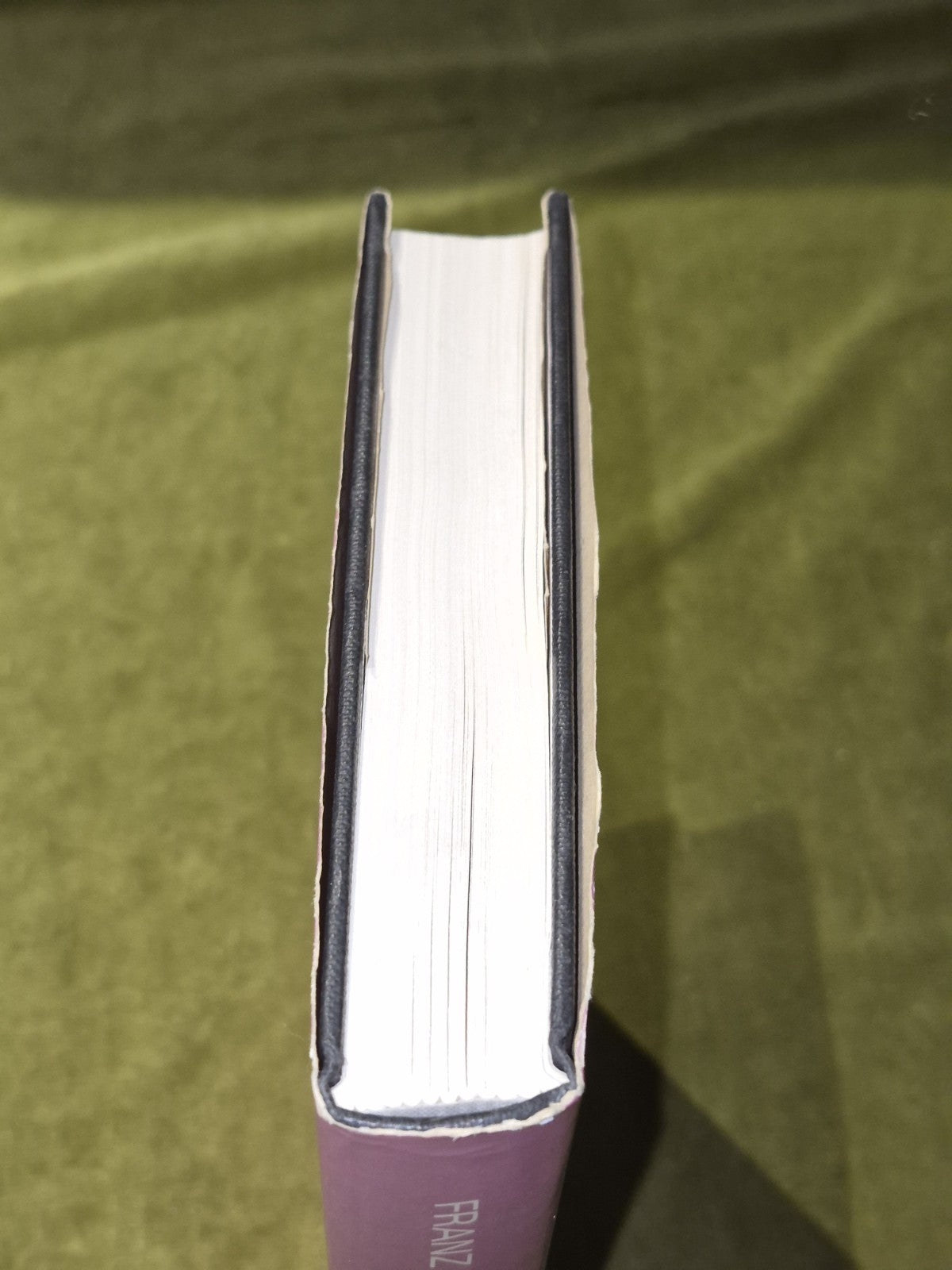 Marie Louise William H Kennedy Von Franz C.G Jung His Myth in Our Time 19722