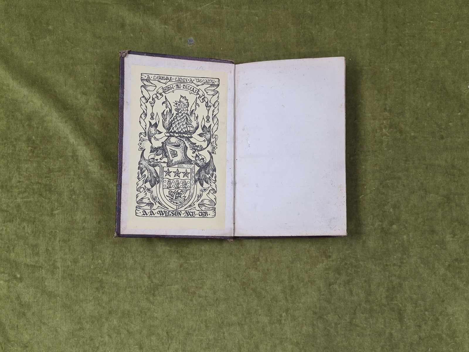 A Collection of Gaelic Proverbs and Familiar Phrases - Donald Mackintosh 17853