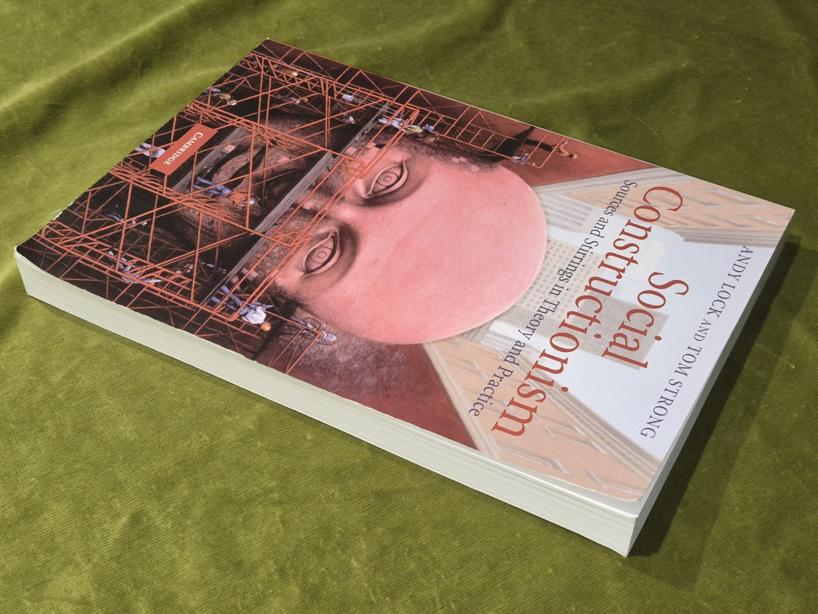 Social Constructionism: Sources and Stirrings (2010 Paperback) Andy  Lock2