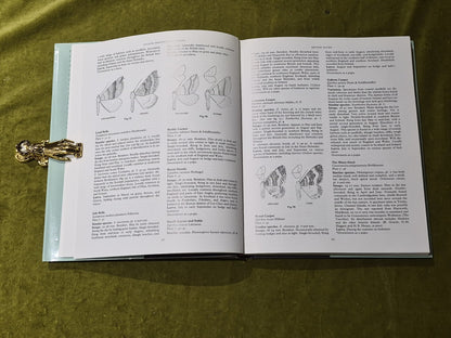 BERNARD SKINNER - The Colour Identification Guide to Moths of the British Isles5