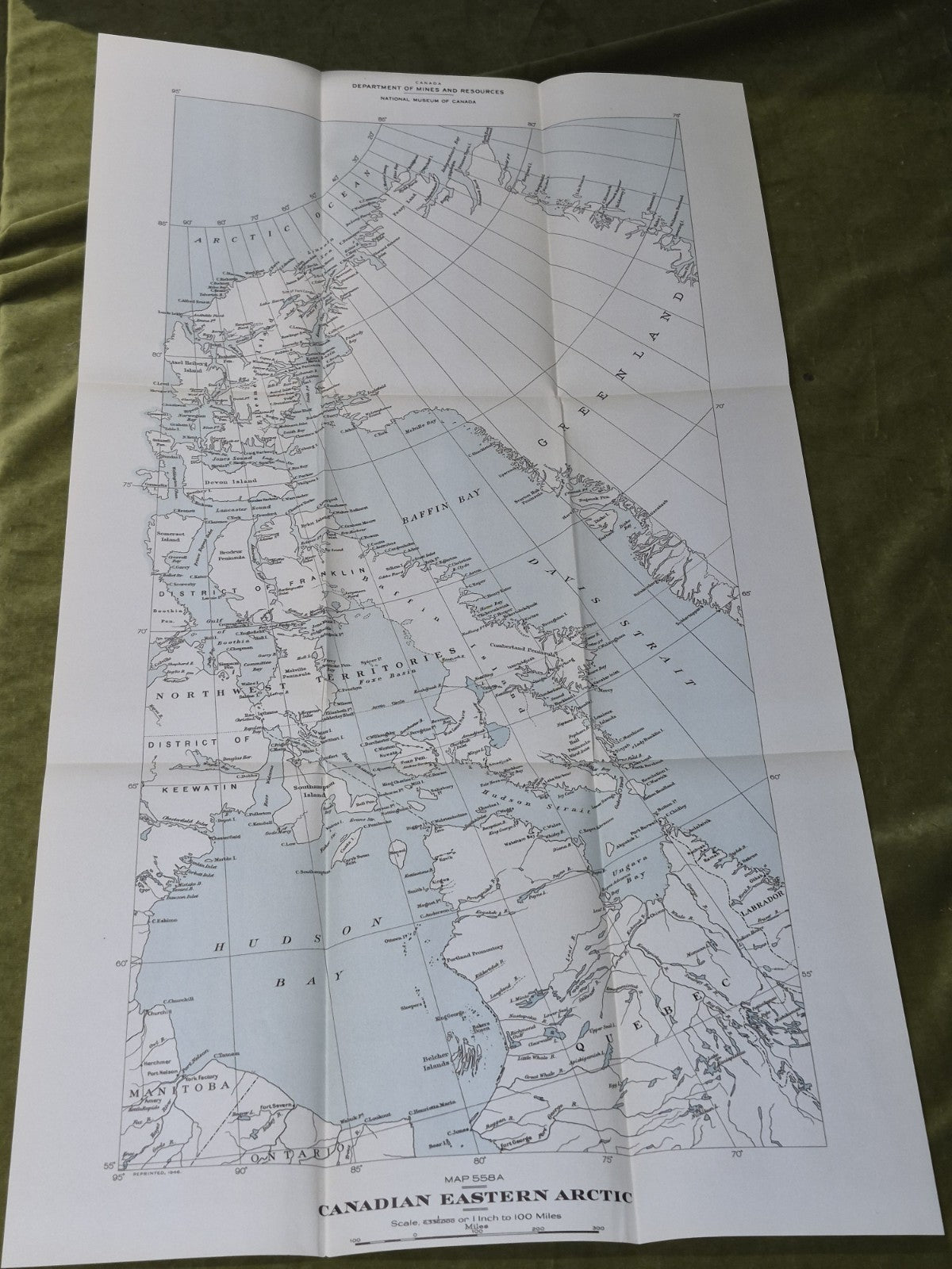 Botany of the Canadian Eastern Actic Part II (1947) National Museum of Canada 974