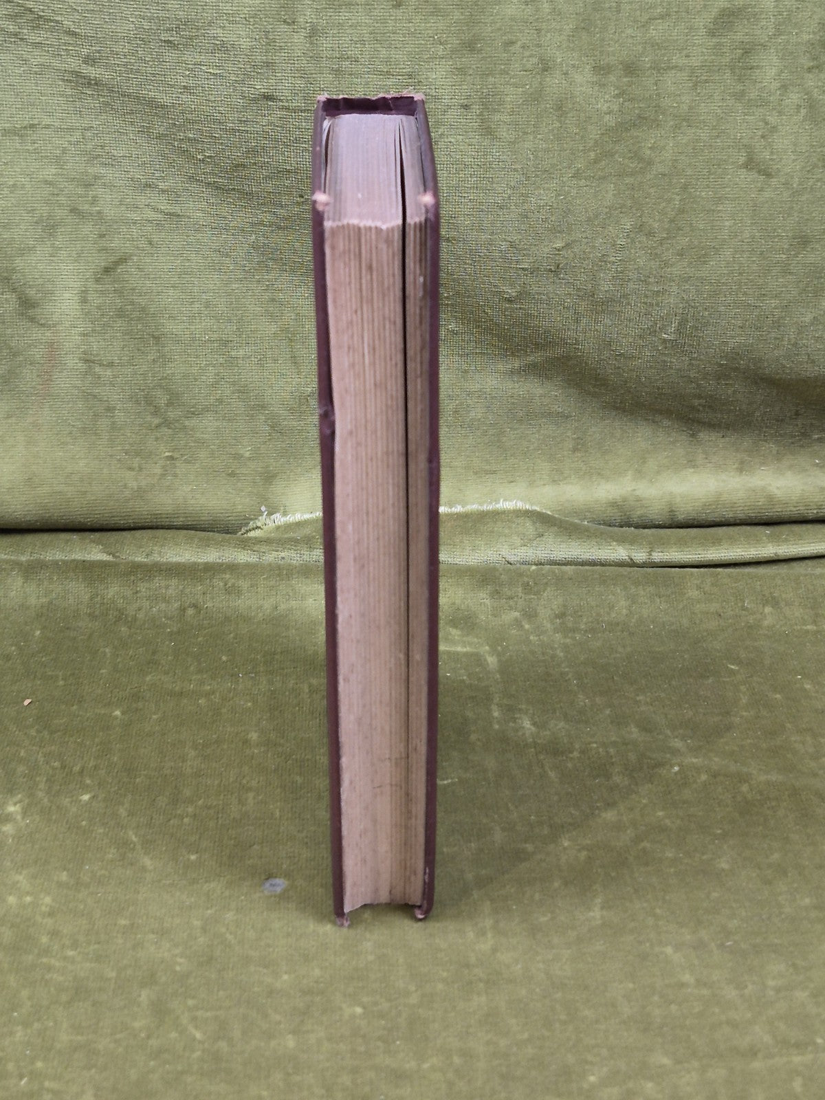 Musings Among the Heather - David Thomson 1881 HB Scottish Poems9