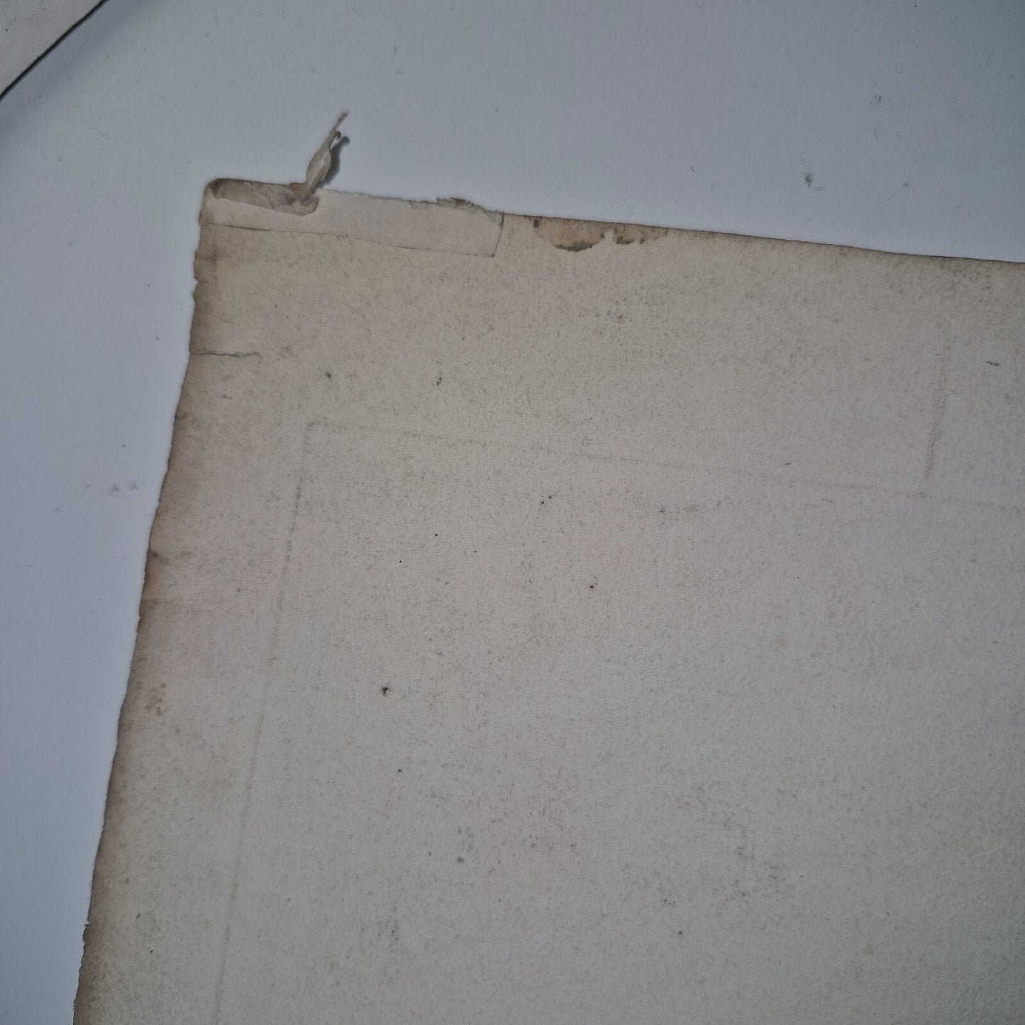 Antique Satirical Political Print. The Orang Outang  The Beast That Violates...8