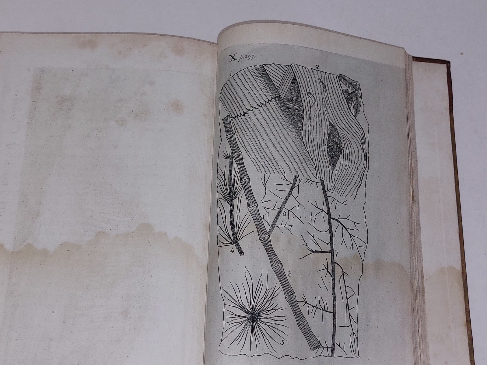 The History Of Rutherglen And East-Kilbride By David Ure (1793) Hb Book5