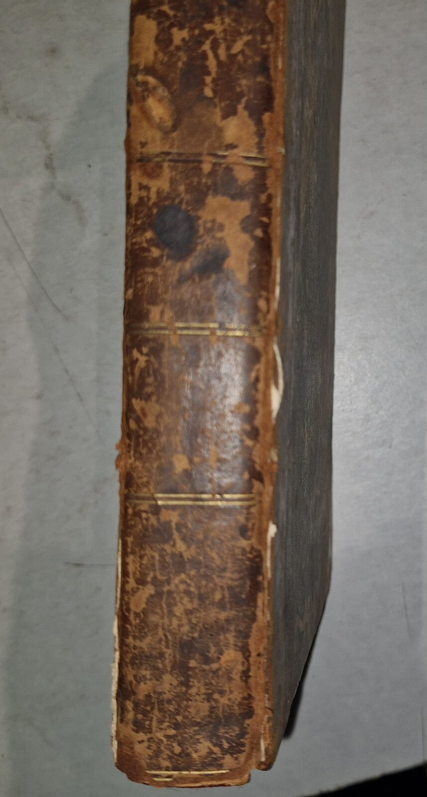 1783 Flora Diaetetica or History of Esculent Plants By Charles Bryant 1st Editn19