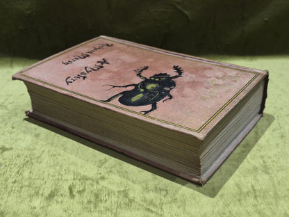 The Beetle A Mystery (1904 Ninth Impression) Richard Marsh4