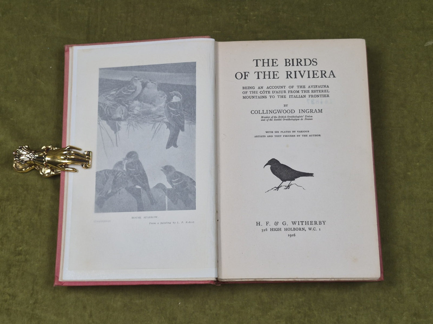 The Birds of the Riviera - Collingwood Ingram , Witherby 1926 HB Ex Lib4
