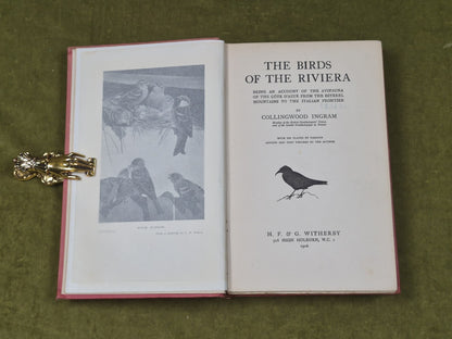 The Birds of the Riviera - Collingwood Ingram , Witherby 1926 HB Ex Lib4